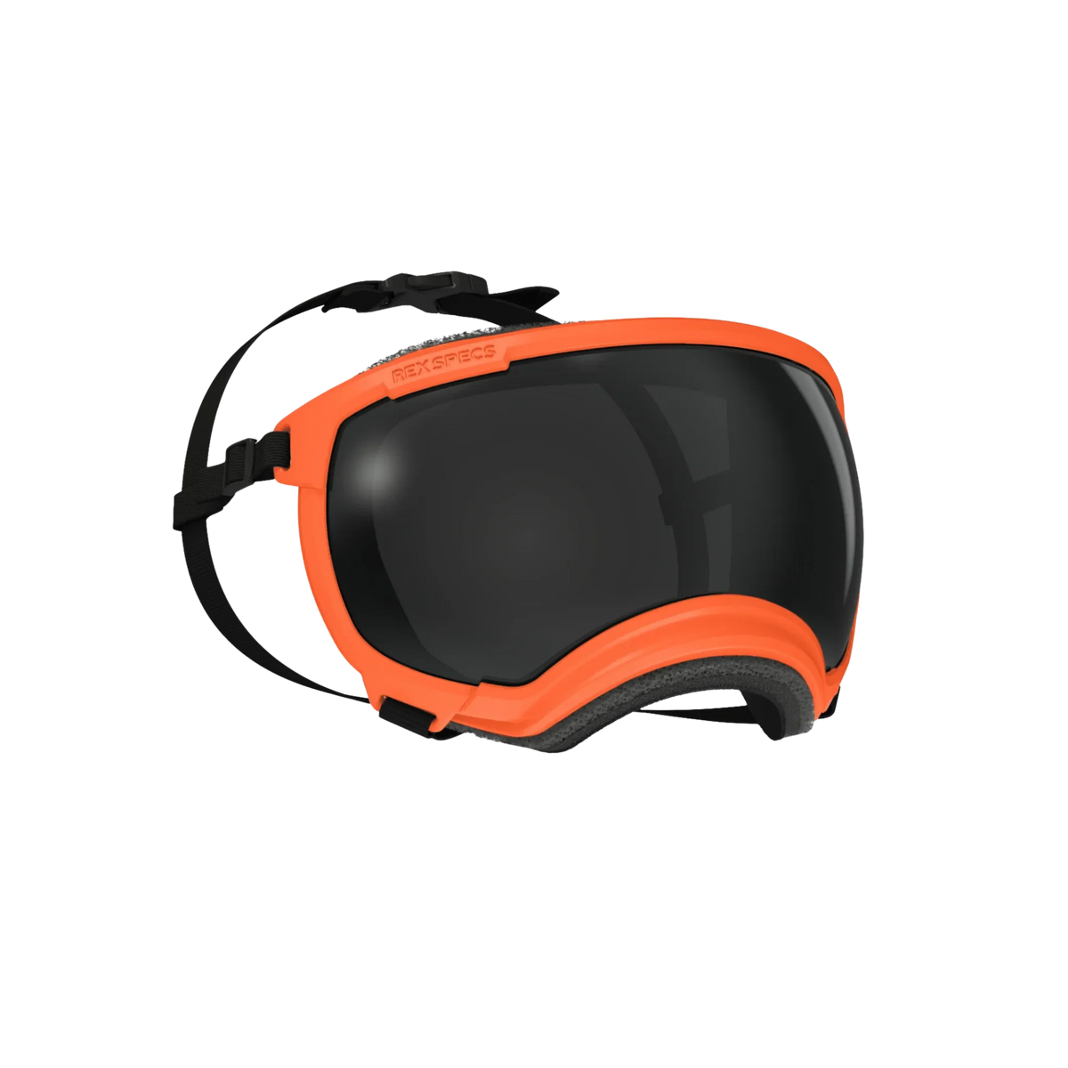 Rex Specs Dog Goggles