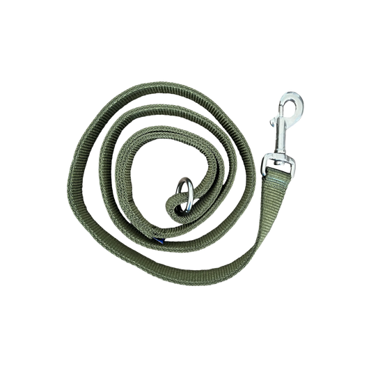 Amicus Leash - 6 ft