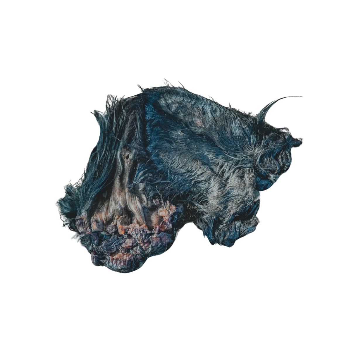 Beef Ears