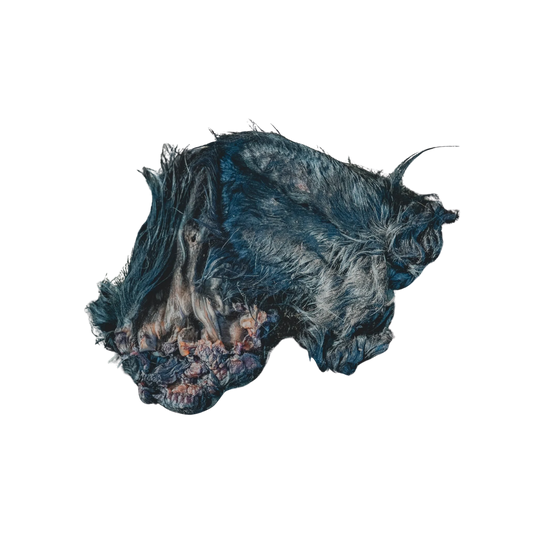Beef Ears