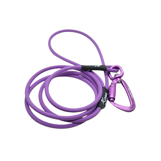 Biothane Rope Leash