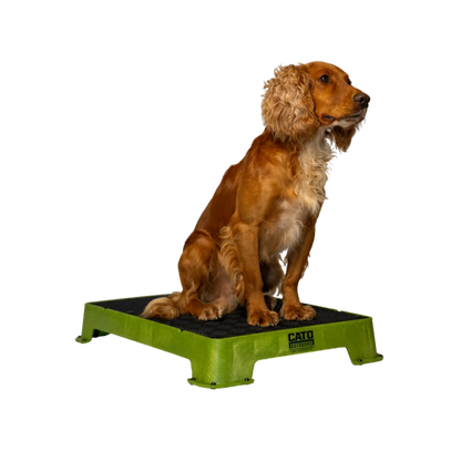 Cato Outdoors Place Board