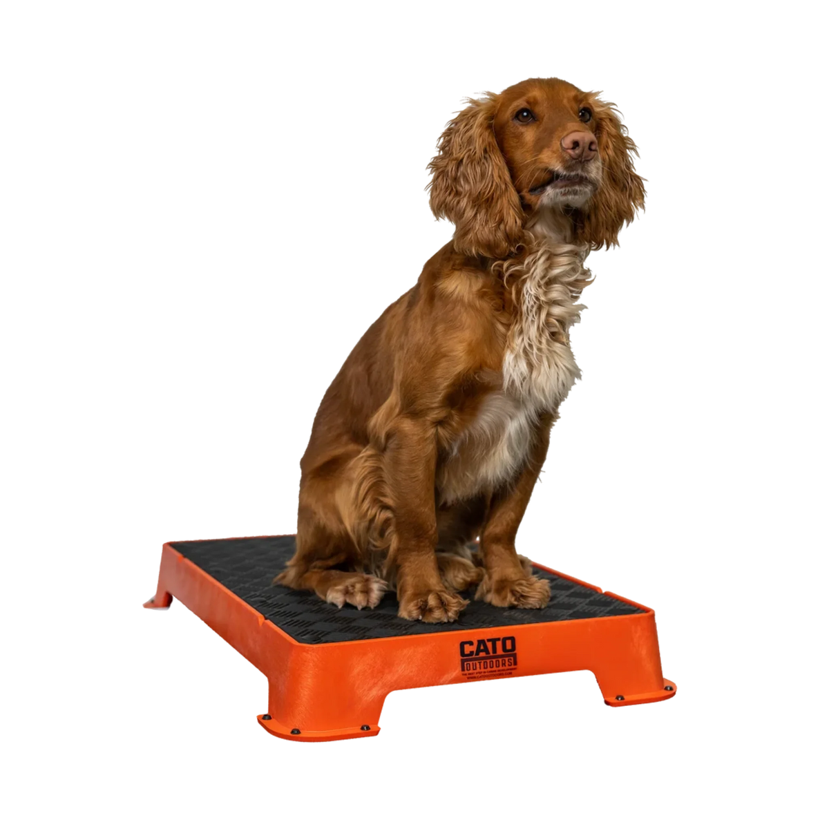 Cato Outdoors Place Board