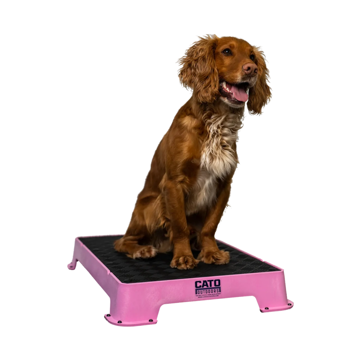 Cato Outdoors Place Board