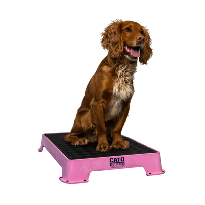 Cato Outdoors Place Board