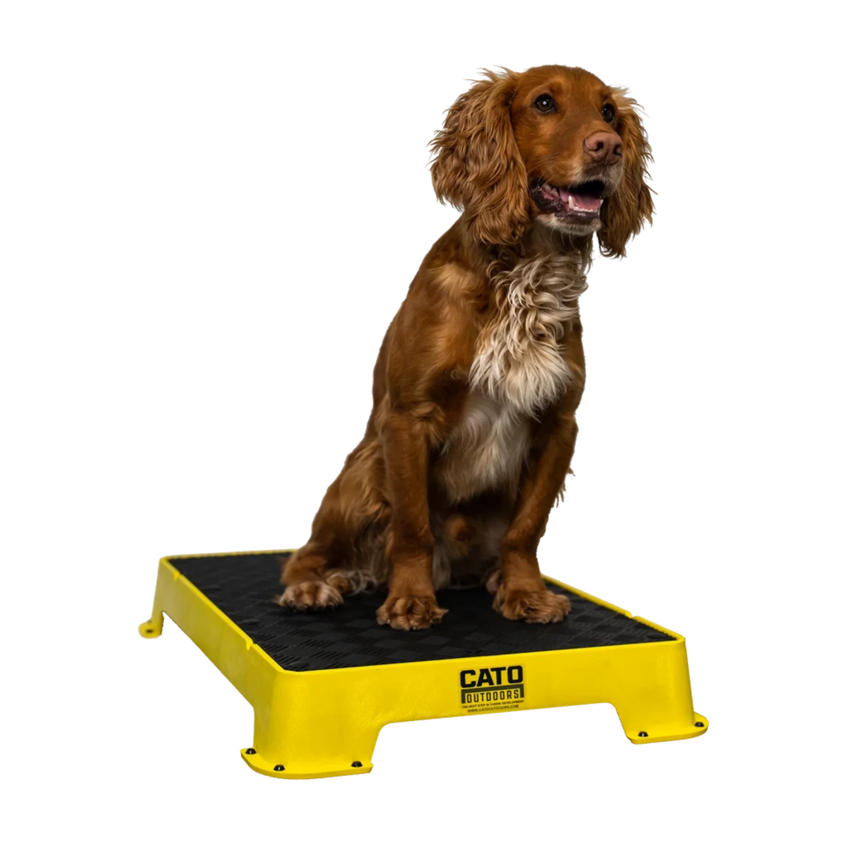 Cato Outdoors Place Board
