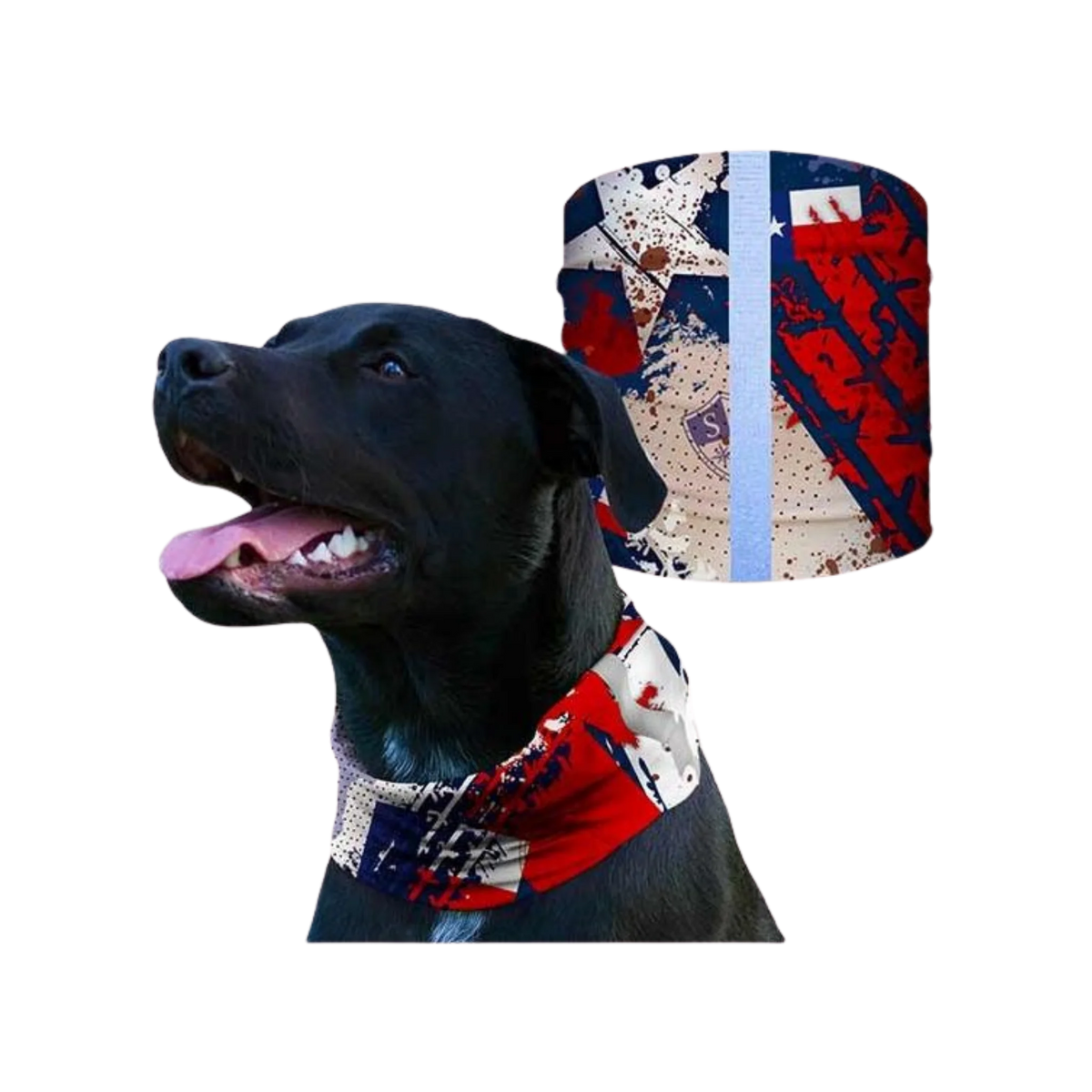 Dog Shield