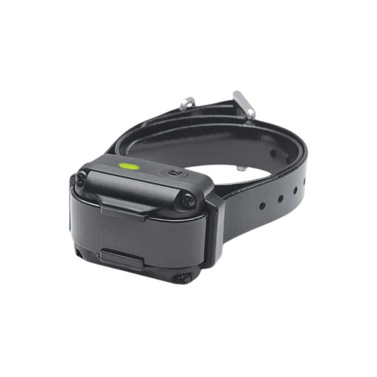 Dogtra iQ VIBE