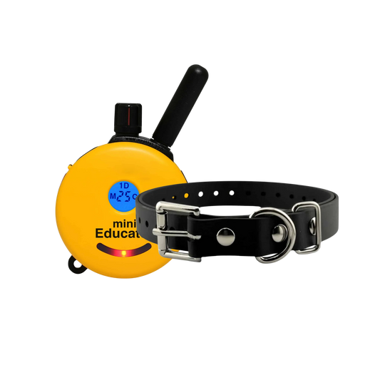 ET-300 MINI EDUCATOR® E-Collar