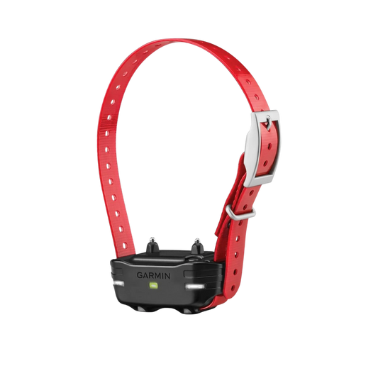 Garmin PT10 Pro Dog Device