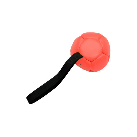 Leather Reward Ball