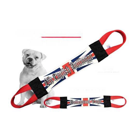 Old English Bulldog Training Tug