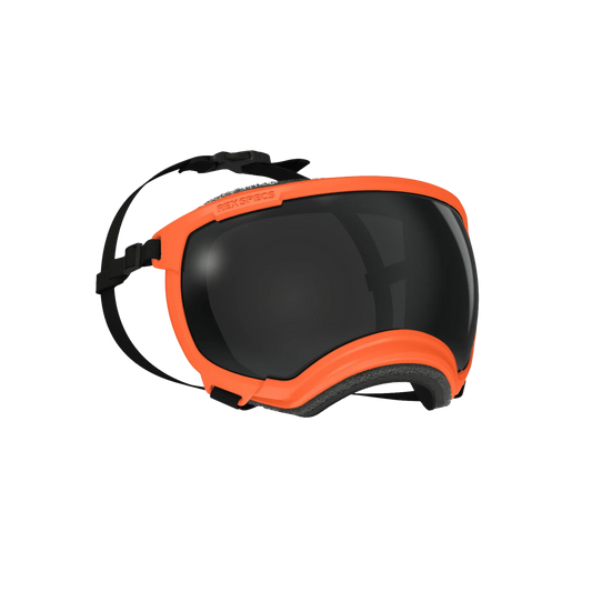 Rex Specs Dog Goggles