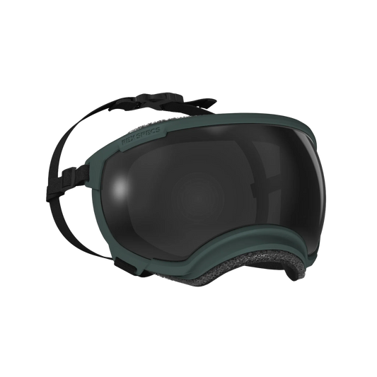 Rex Specs V2 Dog Goggles